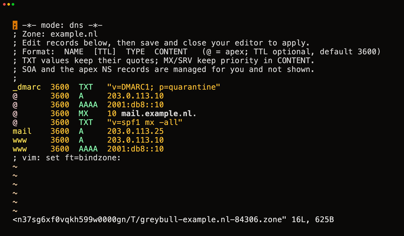 A terminal running greybull dns edit, showing the example.nl zone as a BIND-style file open in vim with syntax highlighting